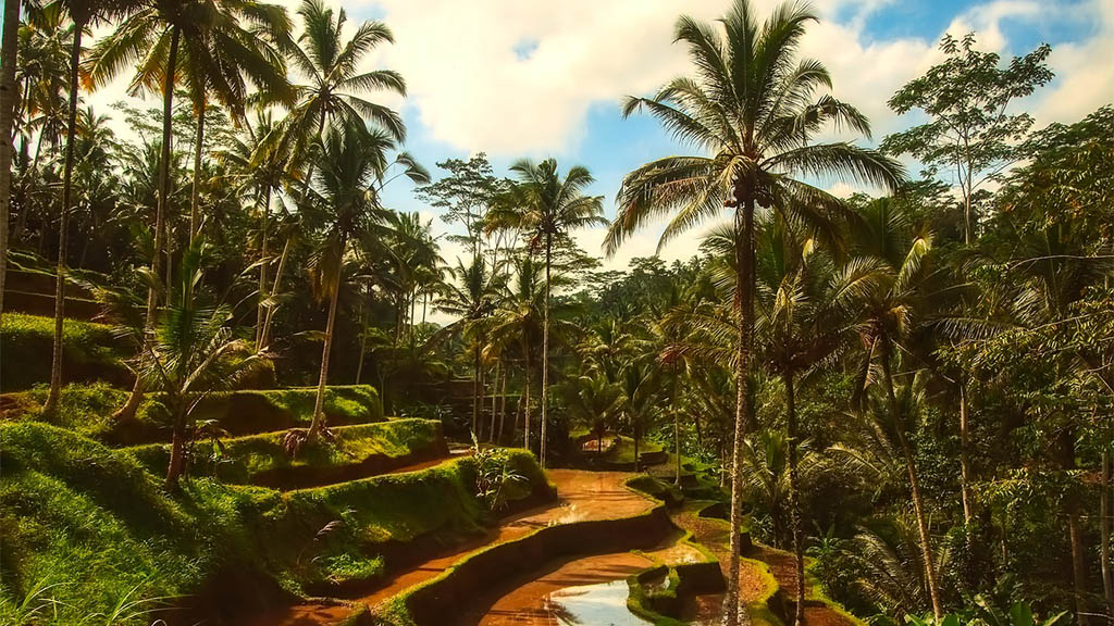 Fitnessurlaub Bali - Fitnessurlaub für Reiseathleten