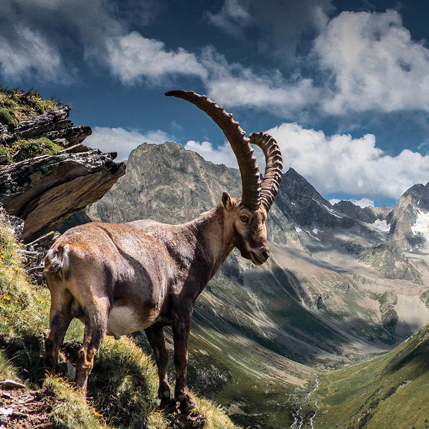 Fitnessurlaub in Österreich - Wandern mit Bergsicht Hotel 4 Jahreszeiten Pitztal - Fitnessreisen für Reiseathleten