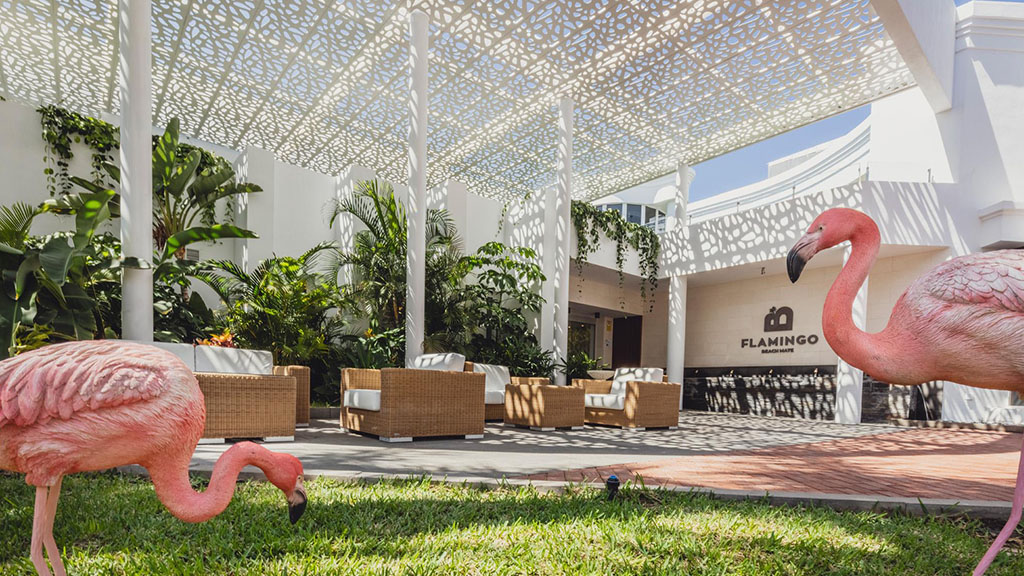 Flamingo Beach Mate - Hotel Entrance Lobby Flamingo - Fitness holiday Tenerife as Travelling Athlete