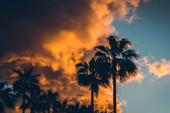 AnnaMakesButter x Reiseathleten Retreat 2023 – CrossFit, Surfing, Coaching und vieles mehr in der Sonne Teneriffas – ALL LEVELS | AUSGEBUCHT