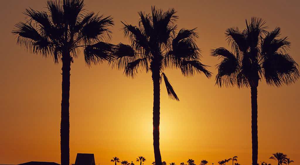 Fitnessurlaub Gran Canaria - Fitnessreisen mit Reiseathleten