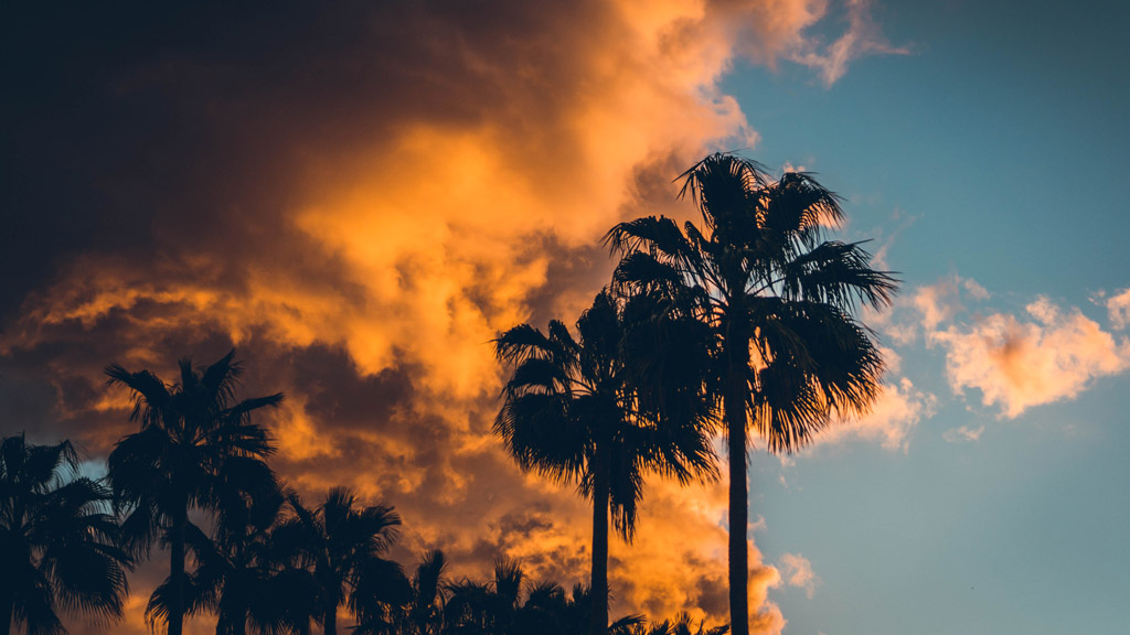 Fitnessurlaub auf Teneriffa - Fitnessreisen fuer Reiseathleten