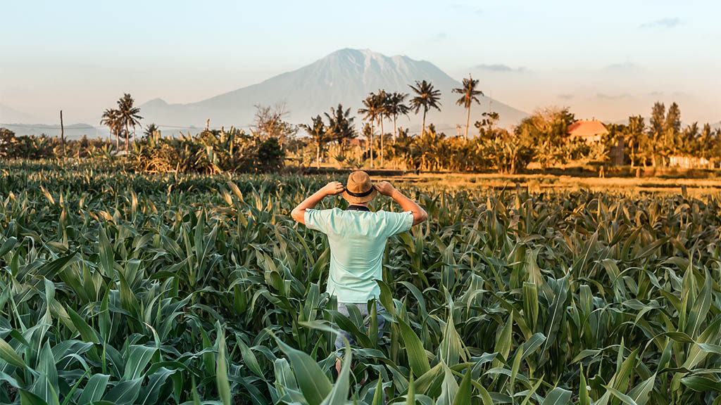 Fitnessurlaub Bali - Fitnessurlaub für Reiseathleten