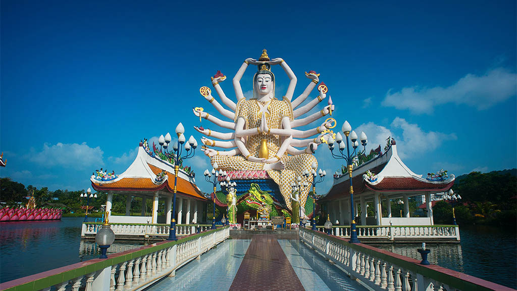 Tiger Muay Thai Fitness Chalong Muay Thai- WOD Fitness Urlaub - Fitnessreisen mit Reiseathleten