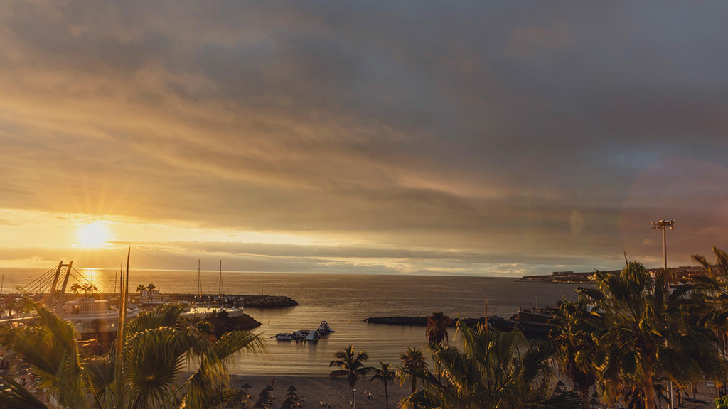 Flamingo Beach Mate - Surroundings Hotel - Fitness Vacation Tenerife as a Travelling Athlete