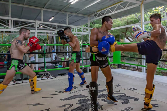 Muay Thai Reise nach Koh Samui – Lionheart Muay Thai & FitKoh Fitness Camp – Mimosa Resort & SPA – Fitnessurlaub in Thailand