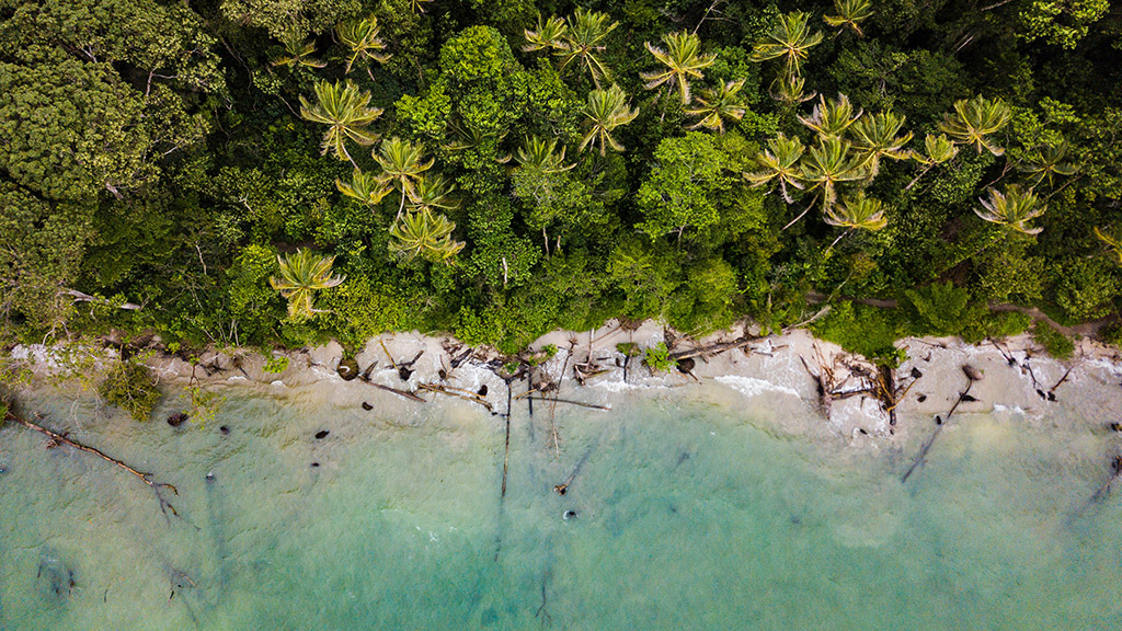 Surfurlaub in Costa Rica - Fitnessreise Costa Rica - Bamboo Surf Camp - Reiseathleten