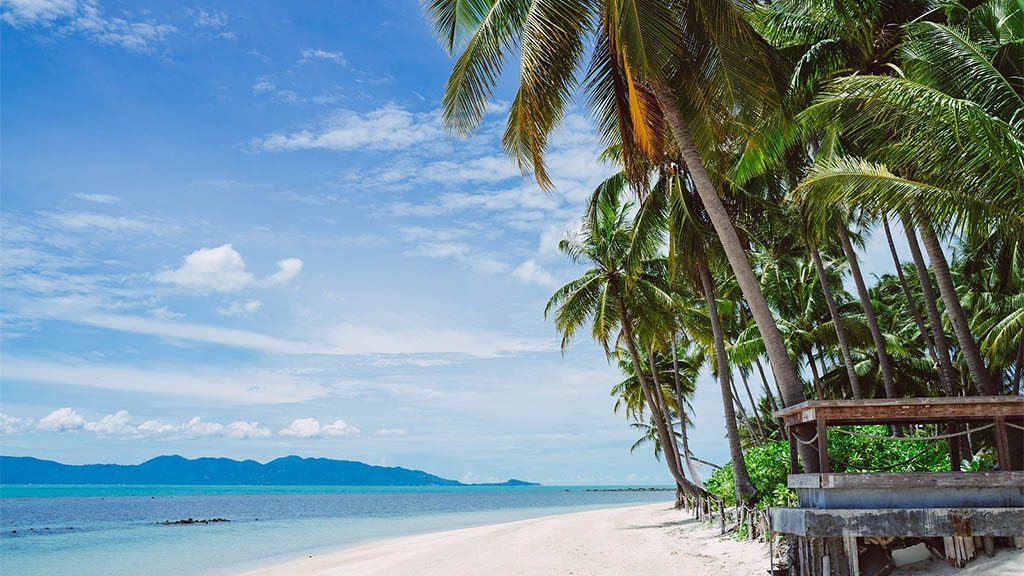 FitKoh Fitnessreise Koh Samui - Fitnessferien Thailand - Fitnessurlaub in Thailand für Reiseathleten (13)