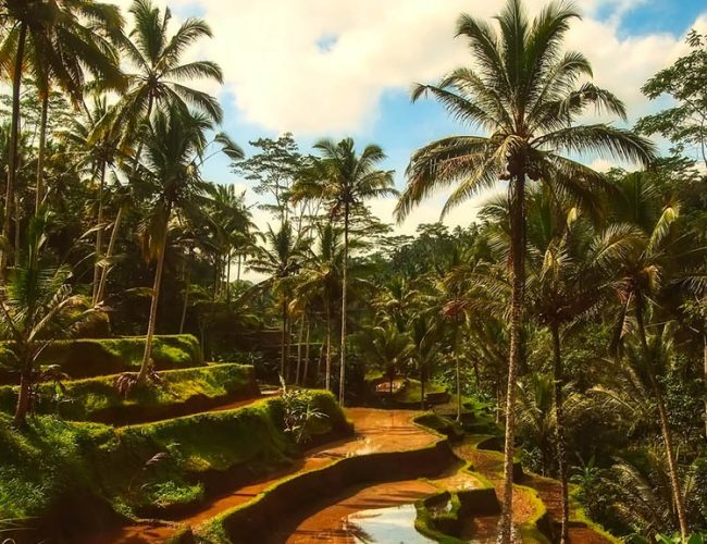 Fitnessurlaub Bali - Fitnessurlaub für Reiseathleten