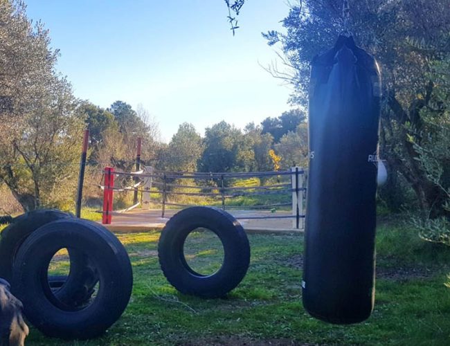 Fitness Vacation Spain - Boxing Camp by Punchcamp Spain - Fitness Tours for Travelling Athletes