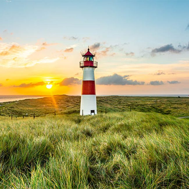 Unique dune landscapes on Sylt - Fitness Vacation Sylt - Fitness Vacation Germany - Fitness Travel for Travelling Athletes