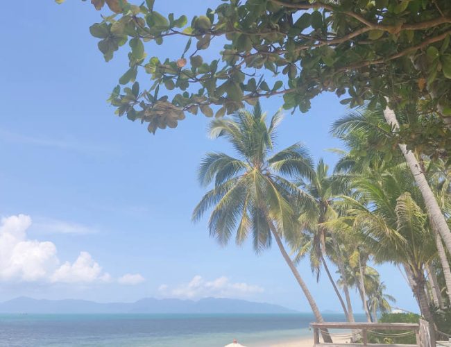 Fitness Holidays on Koh Samui, Thailand - Fitness Holidays in Thailand - Fitness Tours for Travelling Athletes