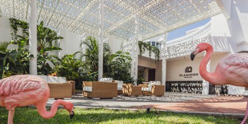 Flamingo Beach Mate - Hotel Eingang Lobby Flamingo - Fitnessurlaub Teneriffa als Reiseathlet