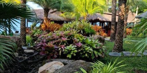 Nova Fitness Camp Vietnam - Coco Palm Resort - Fitness Camp Phu Quoc - Reiseathleten - Fitnessurlaub Vietnam - Fitnessurlaub - Fitness Holiday Vietnam - Reiseathleten - Travelling Athletes - 5