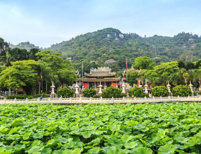 Nova Fitness Camp Vietnam - Fitness Camp Phu Quoc - Travelling Athletes  Fitness Vacation Vietnam - Fitness Vacation - Fitness Holiday Vietnam - Travelling Athletes  Traveling Athletes - 51