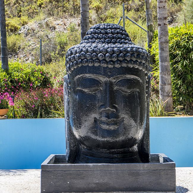 Shanti-Som-Wellbeing-Retreat-Fitnessurlaub-Marbella-Fitnessreise-Spanien-Reiseathleten-160.jpg