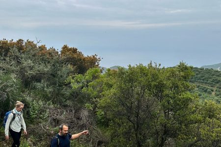 Fitness-Unboxed-im-Melitsina-Village-Hotel-Kardamili-Outdoor-Crosstraining-WoD-draußen-Hiking-Tagestrip-Erkundungstour-Weightlifting-Fitnessurlaub-Griechenland-Fitness-Holiday-Greece-Fitnessurlaub-fuer-Reiseathleten