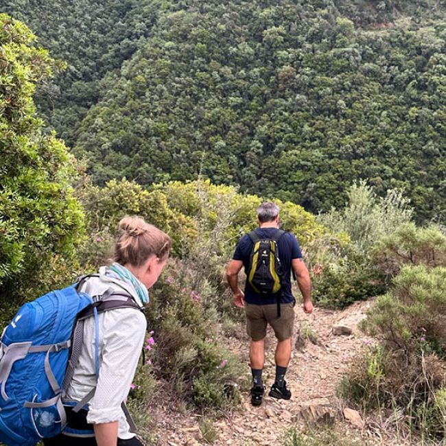 Fitness-Unboxed-im-Melitsina-Village-Hotel-Kardamili-Gelände-Hike-Wandern-Berge-Natur-Tagesausflug-Tour-Fitnessurlaub-Griechenland-Fitness-Holiday-Greece-Fitnessurlaub-fuer-Reiseathleten