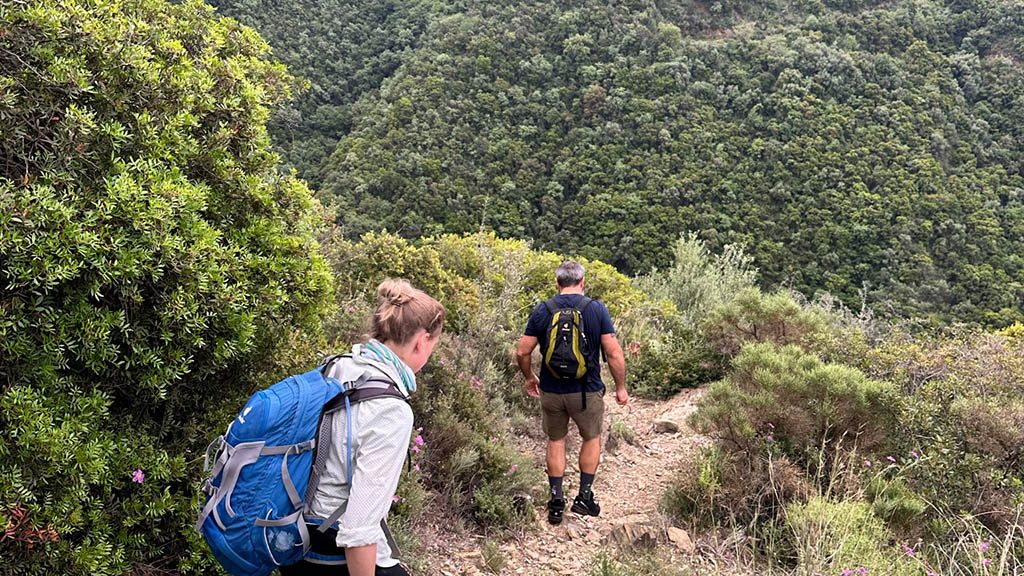Fitness-Unboxed-im-Melitsina-Village-Hotel-Kardamili-Gelände-Hike-Wandern-Berge-Natur-Tagesausflug-Tour-Fitnessurlaub-Griechenland-Fitness-Holiday-Greece-Fitnessurlaub-fuer-Reiseathleten